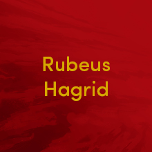 Rubeus Hagrid